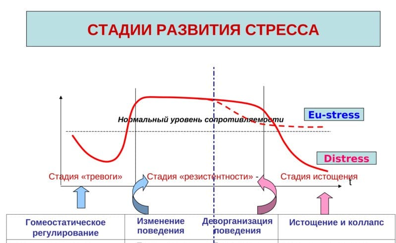 стадии развития стресса