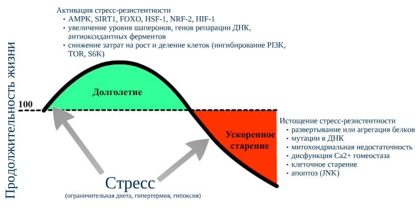 Диаграмма стресса у подростков